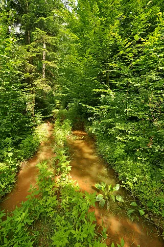 … kałuże i błoto.