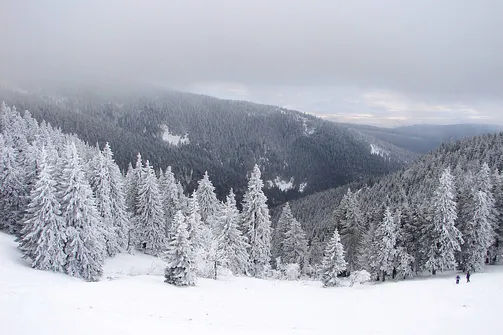 Widok z okna schroniska na Śnieżniku
