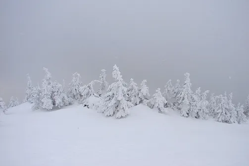 Droga na szczyt Śnieżnika