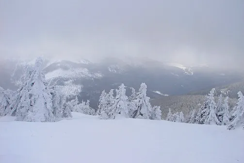 Droga powrotna ze szczytu Śnieżnika