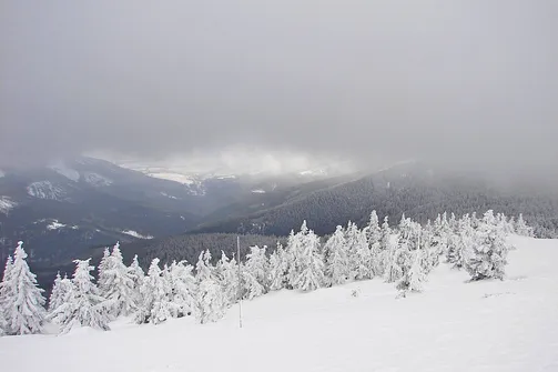 Droga powrotna ze szczytu Śnieżnika