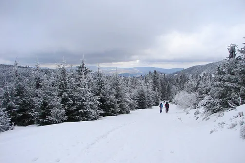 Droga powrotna ze schroniska na Śnieżniku