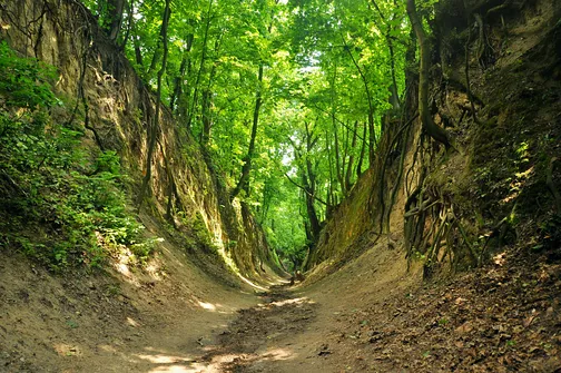 Sandomierz - Mały Rzym nad Wisłą