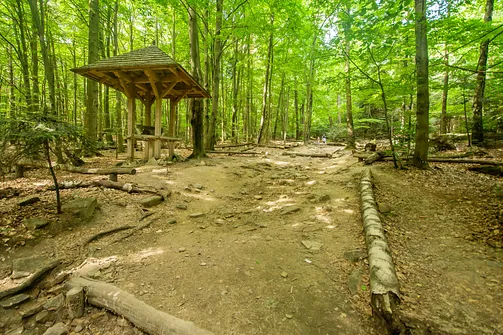 Łysa Góra - szczyt z sanktuarium i relikwiami Drzewa Krzyża Świętego