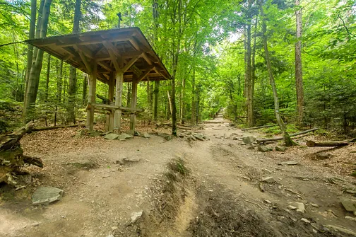 Łysa Góra - szczyt z sanktuarium i relikwiami Drzewa Krzyża Świętego