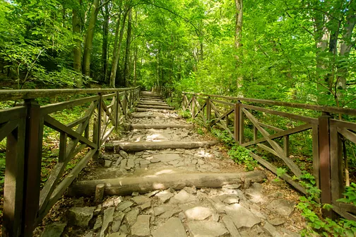 Łysa Góra - szczyt z sanktuarium i relikwiami Drzewa Krzyża Świętego