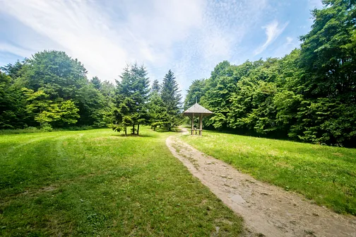 Po czterdziestu minutach wychodzimy z lasu.