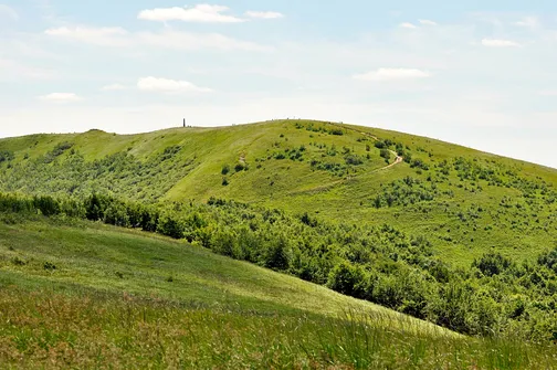 Krzemieniec - szczyt z trójstykiem granic w Bieszczadach