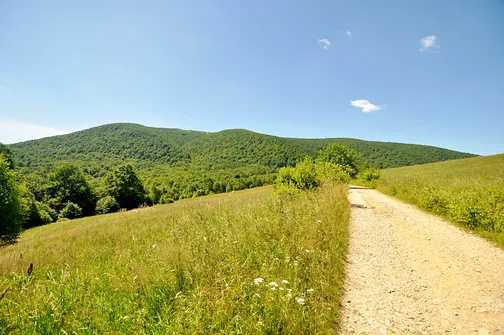 Krzemieniec - szczyt z trójstykiem granic w Bieszczadach