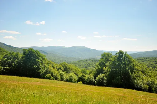 Krzemieniec - szczyt z trójstykiem granic w Bieszczadach