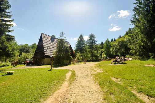 Krzemieniec - szczyt z trójstykiem granic w Bieszczadach