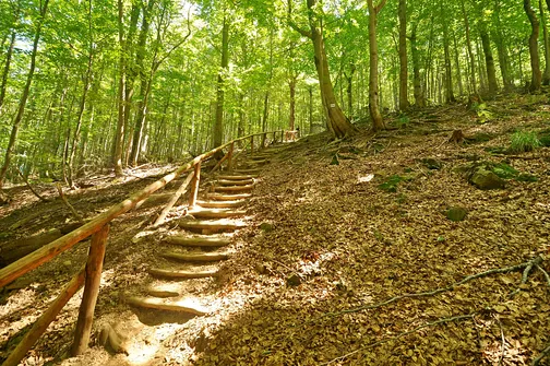 Krzemieniec - szczyt z trójstykiem granic w Bieszczadach