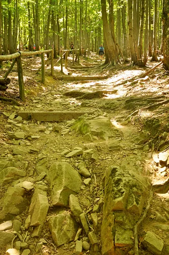 Krzemieniec - szczyt z trójstykiem granic w Bieszczadach