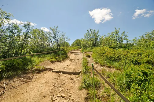 Krzemieniec - szczyt z trójstykiem granic w Bieszczadach