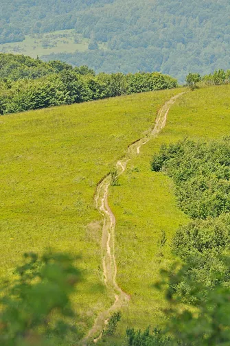 Krzemieniec - szczyt z trójstykiem granic w Bieszczadach