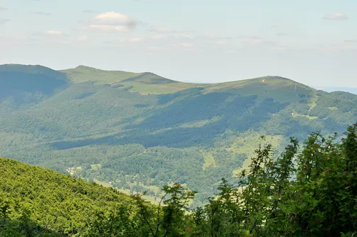 Krzemieniec - szczyt z trójstykiem granic w Bieszczadach