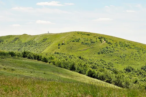 Krzemieniec - szczyt z trójstykiem granic w Bieszczadach
