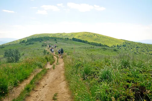 Krzemieniec - szczyt z trójstykiem granic w Bieszczadach