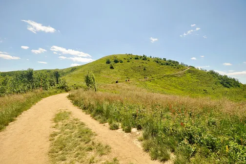 Krzemieniec - szczyt z trójstykiem granic w Bieszczadach