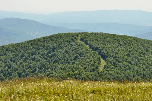 Krzemieniec - szczyt z trójstykiem granic w Bieszczadach