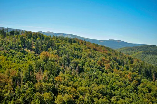 Zamek Chojnik - ruiny zamku w Jeleniej Górze