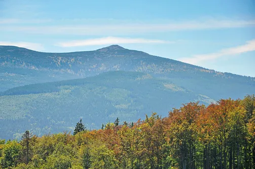 Zamek Chojnik - ruiny zamku w Jeleniej Górze