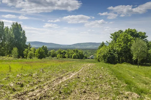 Bukowa Góra i tajemnica drewnianej kapliczki