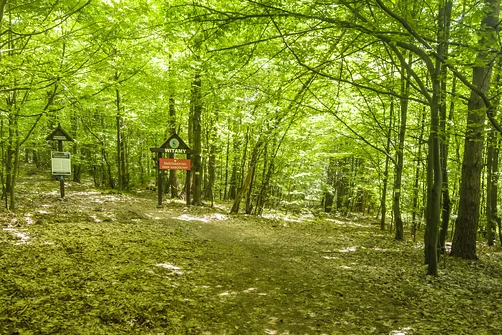 Bukowa Góra i tajemnica drewnianej kapliczki