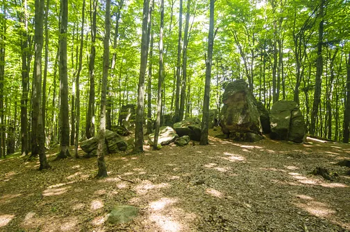 Bukowa Góra i tajemnica drewnianej kapliczki