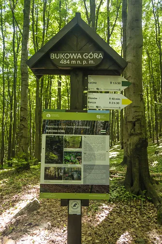 Bukowa Góra i tajemnica drewnianej kapliczki