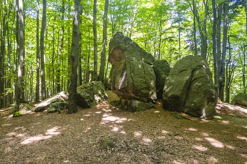 Bukowa Góra i tajemnica drewnianej kapliczki