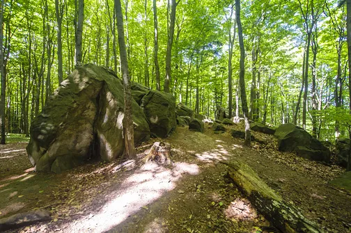 Bukowa Góra i tajemnica drewnianej kapliczki