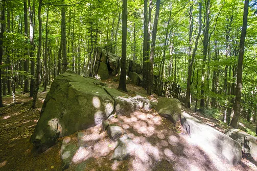 Bukowa Góra i tajemnica drewnianej kapliczki