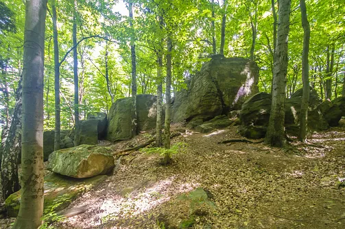 Bukowa Góra i tajemnica drewnianej kapliczki