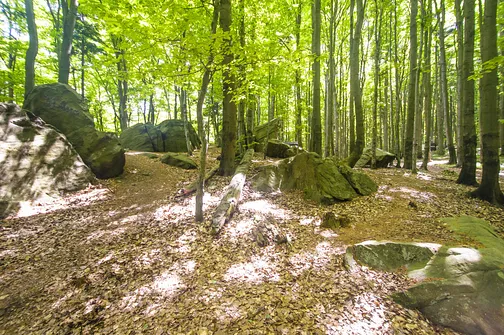 Bukowa Góra i tajemnica drewnianej kapliczki