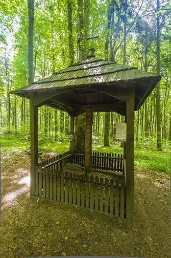 Bukowa Góra i tajemnica drewnianej kapliczki