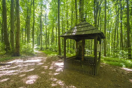 Kapliczka na Bukowej Górze