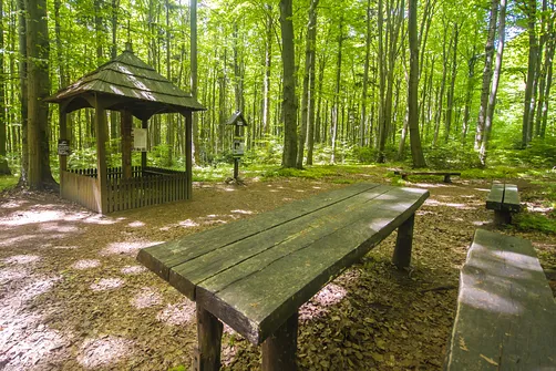 Bukowa Góra i tajemnica drewnianej kapliczki