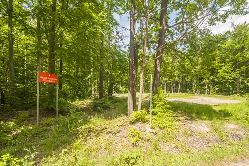 Bukowa Góra i tajemnica drewnianej kapliczki