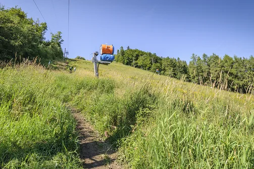 Jaworzyna Krynicka w Beskidzie Sądeckim