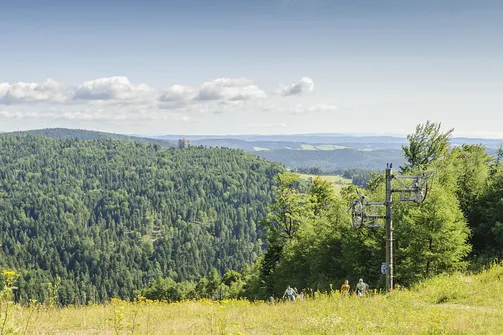 Widok na drewniana wieżę widokową w Krynicy Zdroju