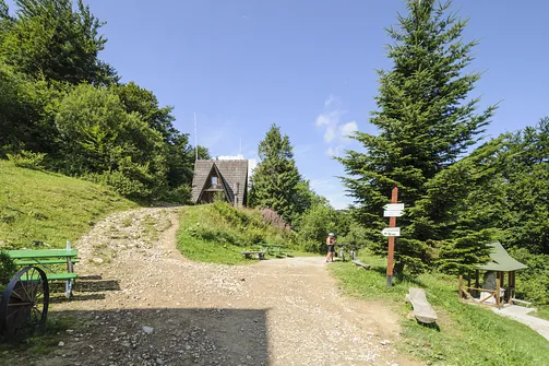 Jaworzyna Krynicka w Beskidzie Sądeckim