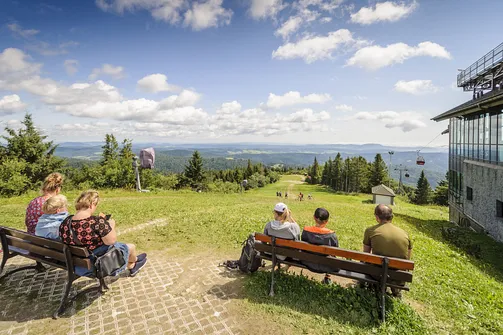 Jaworzyna Krynicka w Beskidzie Sądeckim