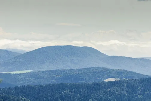 Widok z Jaworzyny Krynickiej na Lackową - najwyższy szczyt polskiej części Beskidu Niskiego