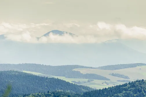 Jaworzyna Krynicka w Beskidzie Sądeckim