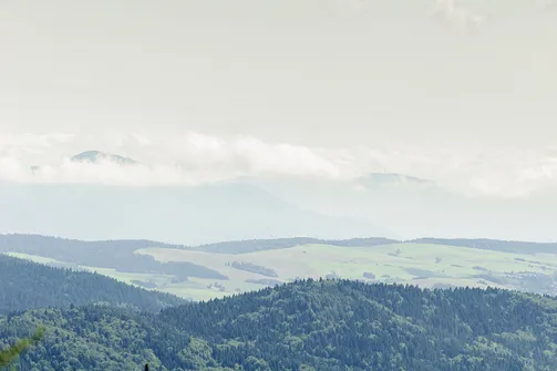 Jaworzyna Krynicka w Beskidzie Sądeckim