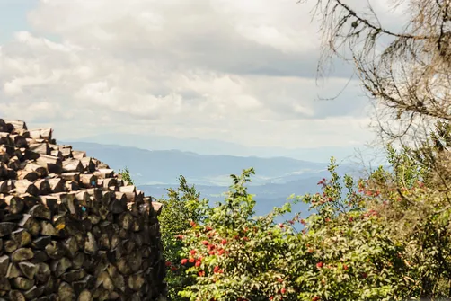 Jaworzyna Krynicka w Beskidzie Sądeckim