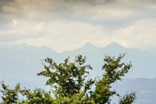 Jaworzyna Krynicka w Beskidzie Sądeckim