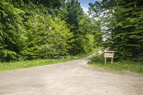 Kamień Michniowski - szczyt Korony Gór Świętokrzyskich w Paśmie Sieradowickim