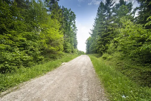 Kamień Michniowski - szczyt Korony Gór Świętokrzyskich w Paśmie Sieradowickim